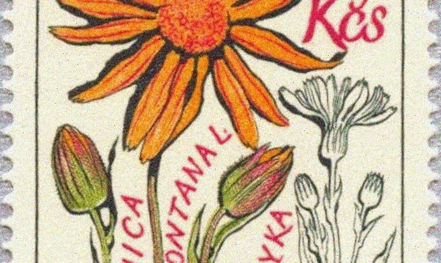 Czech herbal medicine plants